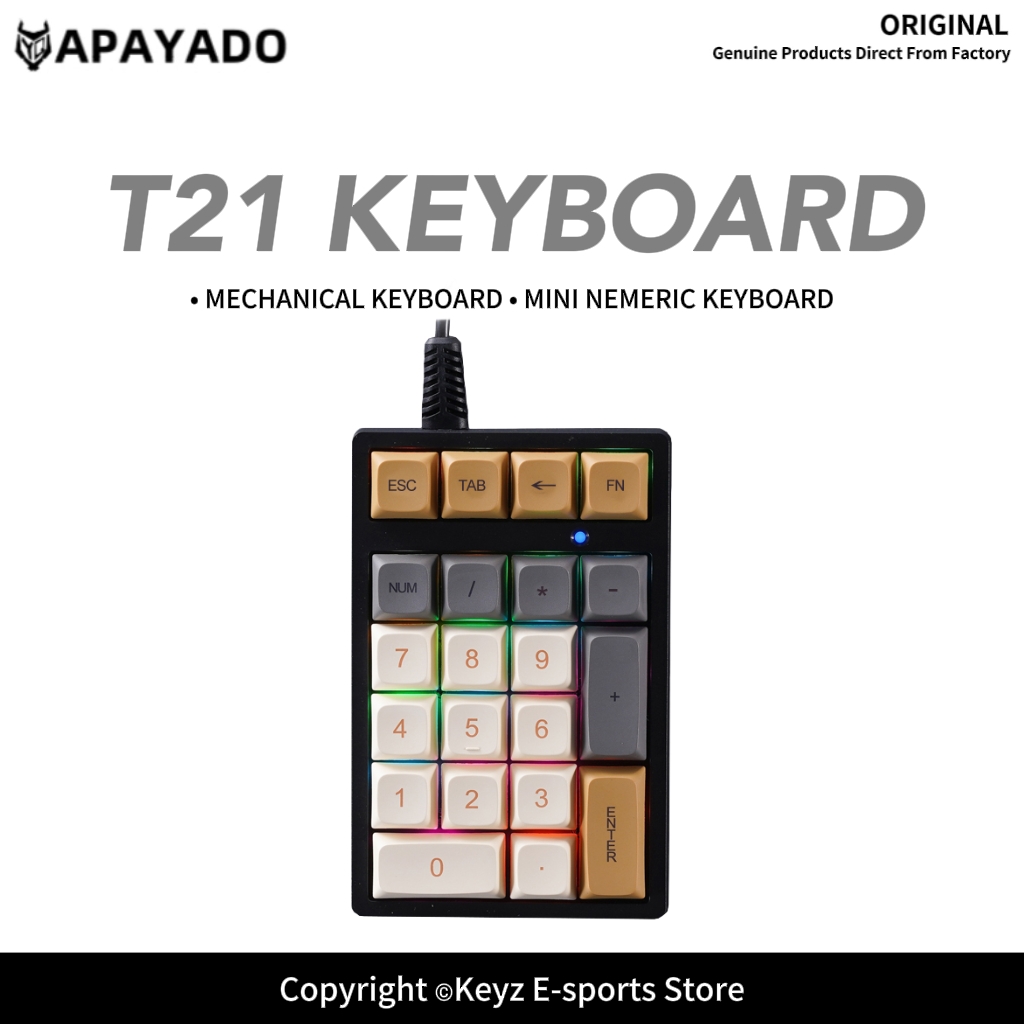 Keyboard Gaming Blue Switch - T21 ミニ数字キーパッド RGB バックライト ブルースイッチ APAYADO